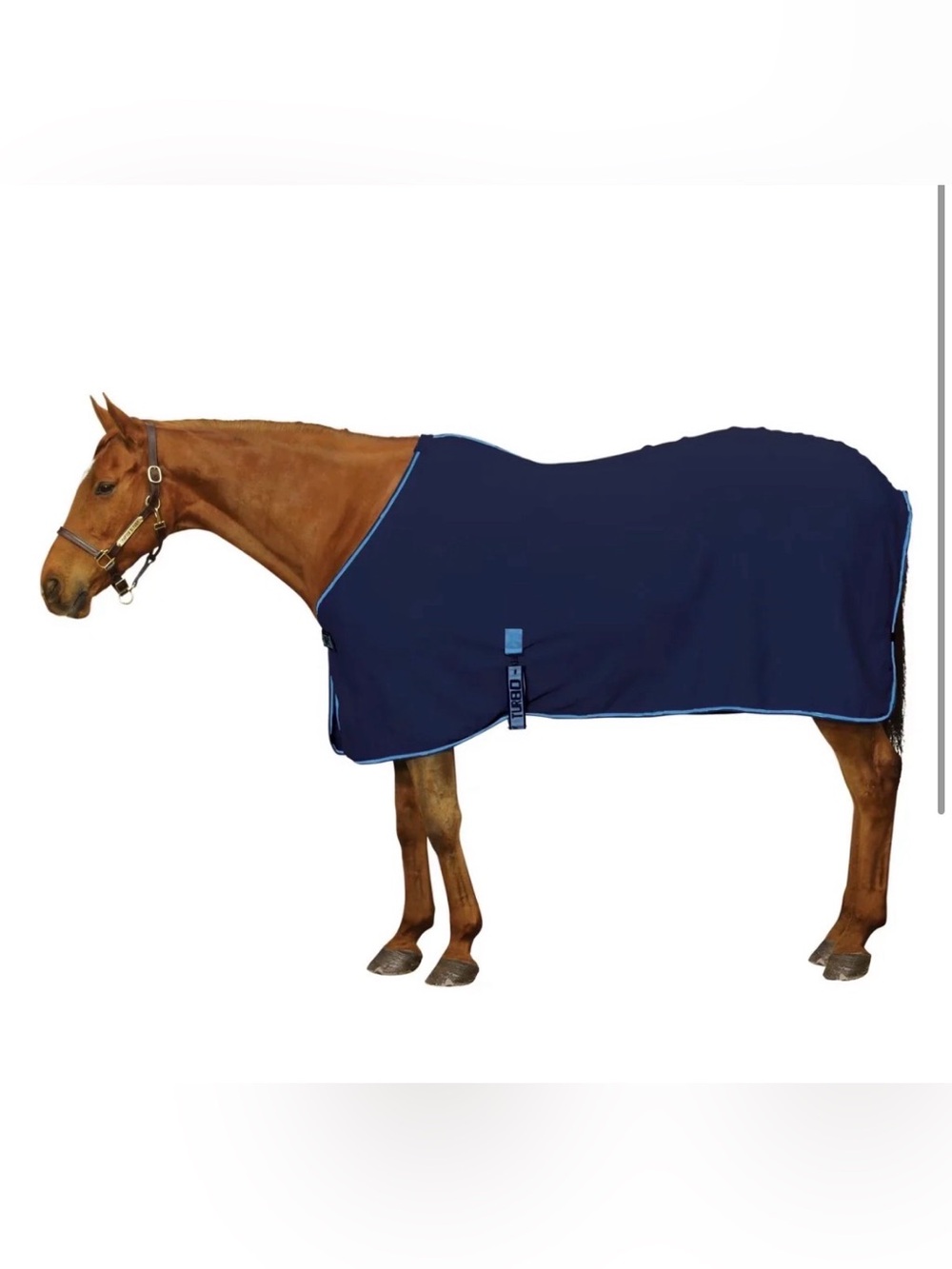 centaur Horse 72-76" Turbo dry fleece cooler blanket